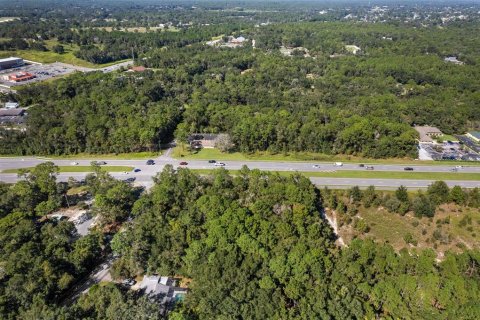 Land in Lecanto, Florida № 2420230 - photo 17