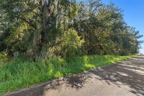 Land in Lecanto, Florida № 2420230 - photo 24