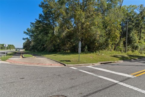 Land in Lecanto, Florida № 2420230 - photo 28
