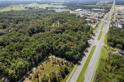 Land in Lecanto, Florida № 2420230 - photo 10