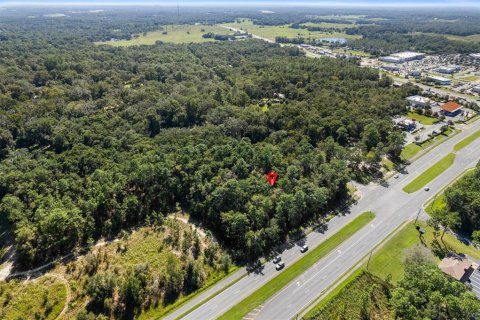 Land in Lecanto, Florida № 2420230 - photo 8