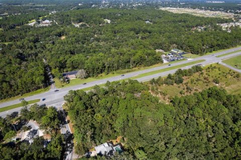 Land in Lecanto, Florida № 2420230 - photo 30