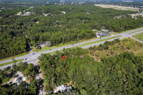 Land in Lecanto, Florida № 2420230 - photo 18