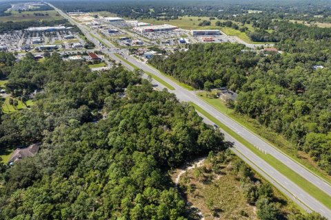 Land in Lecanto, Florida № 2420230 - photo 14