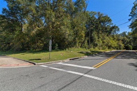 Land in Lecanto, Florida № 2420230 - photo 29