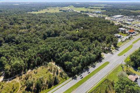 Land in Lecanto, Florida № 2420230 - photo 9