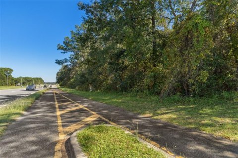 Land in Lecanto, Florida № 2420230 - photo 27