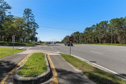 Land in Lecanto, Florida № 2420230 - photo 26