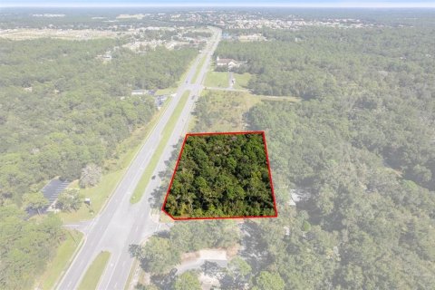 Land in Lecanto, Florida № 2420230 - photo 4