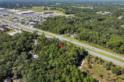 Land in Lecanto, Florida № 2420230 - photo 15