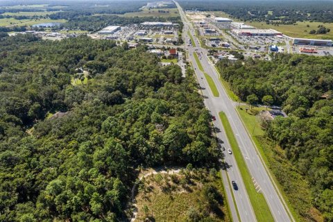 Land in Lecanto, Florida № 2420230 - photo 12