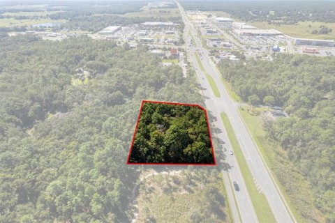 Land in Lecanto, Florida № 2420230 - photo 2