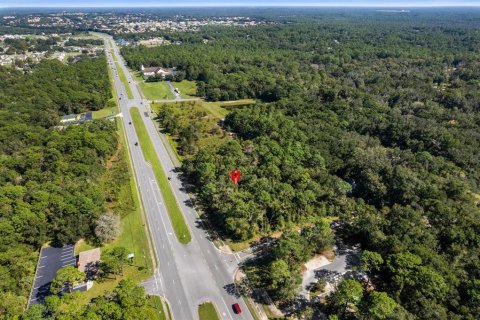 Land in Lecanto, Florida № 2420230 - photo 22