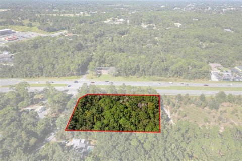 Land in Lecanto, Florida № 2420230 - photo 3