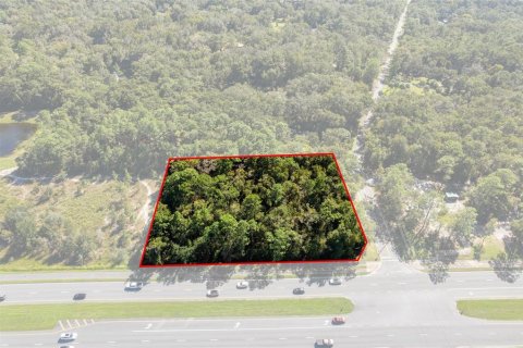 Land in Lecanto, Florida № 2420230