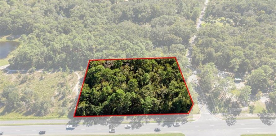Land in Lecanto, Florida № 2420230