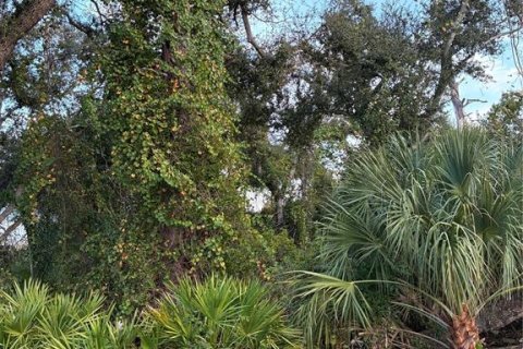 Land in North Port, Florida № 2160083
