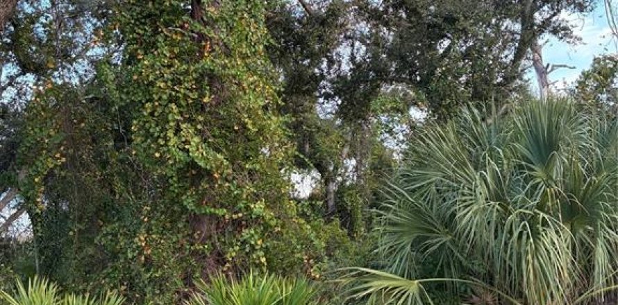 Land in North Port, Florida № 2160083