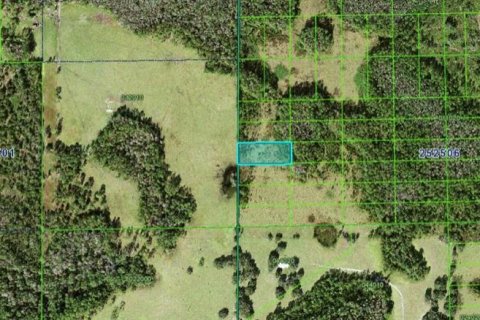 Land in Polk City, Florida № 2158908 - photo 1