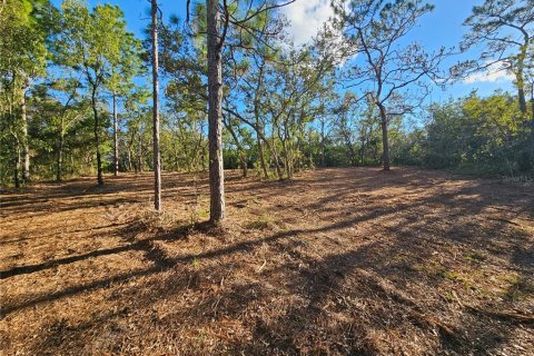 Terrain à vendre à Spring Hill, Floride № 1873228 - photo 8