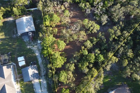 Terrain à vendre à Spring Hill, Floride № 1873228 - photo 21