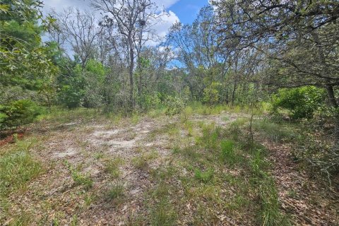 Terrain à vendre à Spring Hill, Floride № 1873228 - photo 4
