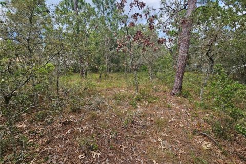 Terrain à vendre à Spring Hill, Floride № 1873228 - photo 3