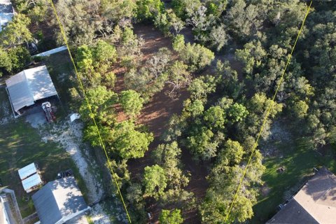 Terrain à vendre à Spring Hill, Floride № 1873228 - photo 16