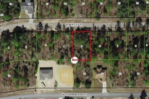 Land in Dunnellon, Florida № 2162248 - photo 2