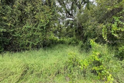 Terreno en venta en Haines City, Florida № 1903264 - foto 4