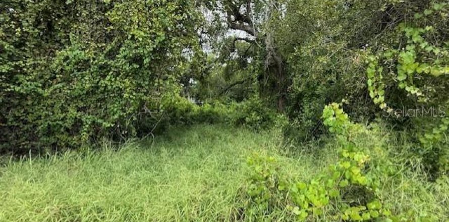 Land in Haines City, Florida № 1903264