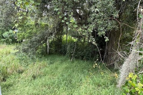 Terreno en venta en Haines City, Florida № 1903264 - foto 2