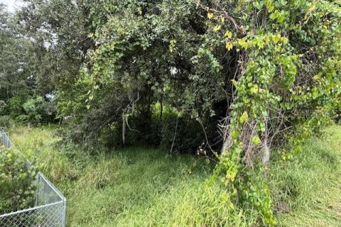 Terreno en venta en Haines City, Florida № 1903264 - foto 3