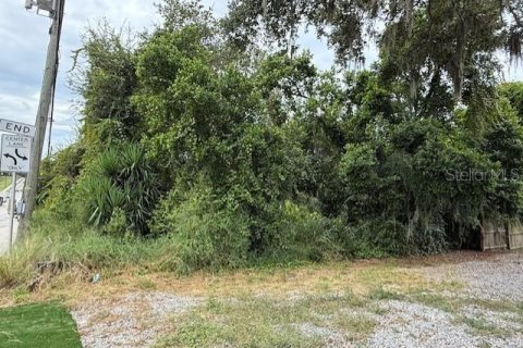 Terreno en venta en Haines City, Florida № 1903264 - foto 6
