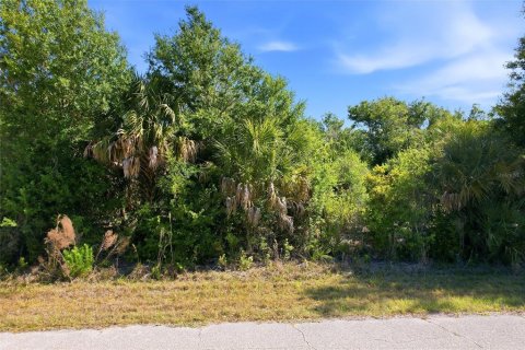 Land in Port Charlotte, Florida № 2159487