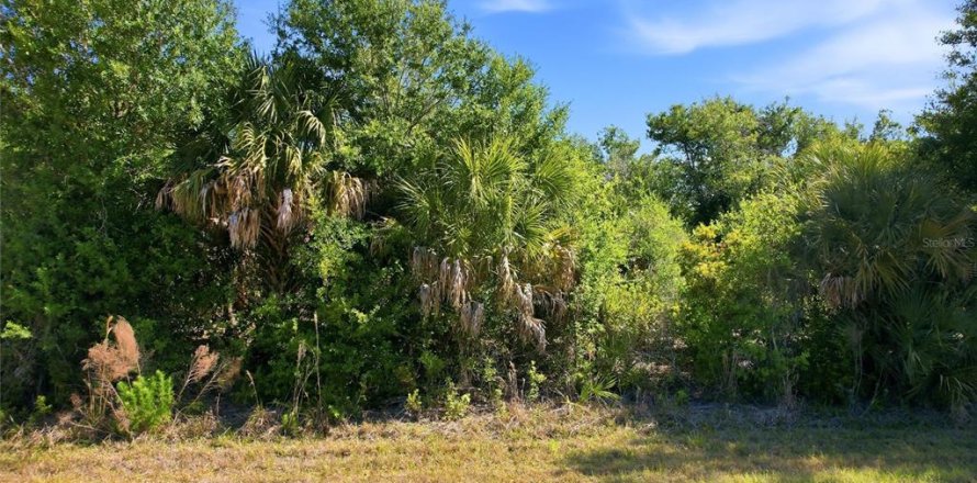 Terrain à Port Charlotte, Floride № 2159487