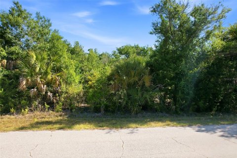 Terrain à vendre à Port Charlotte, Floride № 2159487 - photo 3