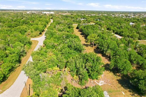 Terrain à vendre à Port Charlotte, Floride № 2159487 - photo 6