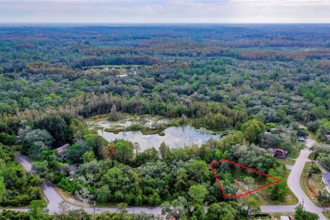 Terreno en venta en New Port Richey, Florida № 1549064 - foto 1