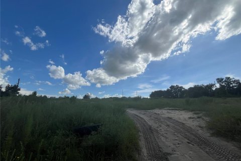 Land in Apopka, Florida № 1879381 - photo 1