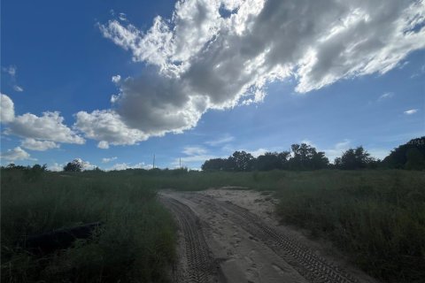 Land in Apopka, Florida № 1879381 - photo 2