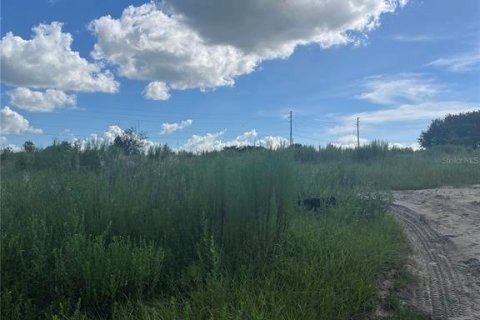 Land in Apopka, Florida № 1879381 - photo 3