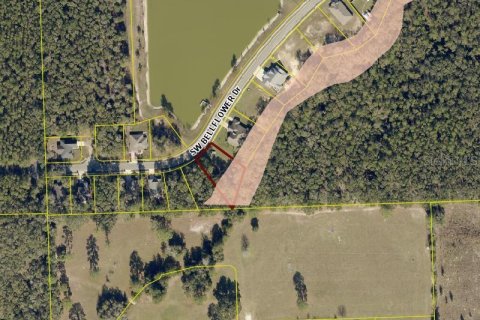 Villa ou maison à vendre à Lake City, Floride: 4 chambres, 192.4 m2 № 2109205 - photo 2