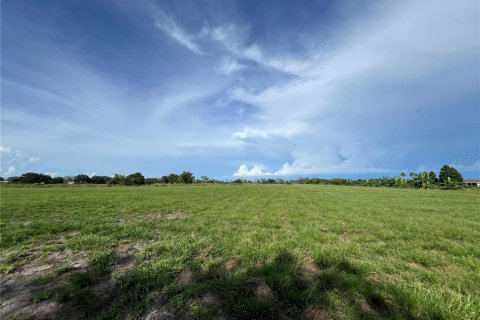 Land in Palmetto, Florida № 1842007 - photo 4
