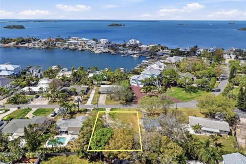 Terrain à Palm Harbor, Floride № 2098669