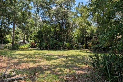 House in Astor, Florida 1 bedroom, 54.63 sq.m. № 2223201 - photo 6