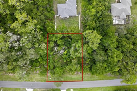 Terreno en Citrus Springs, Florida № 2204590