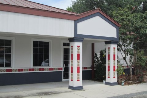 Propiedad comercial en alquiler en Leesburg, Florida, 418.06 m2 № 1670843 - foto 3