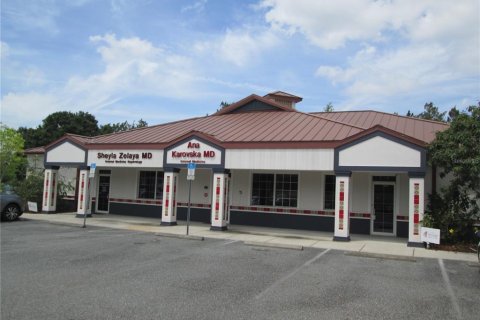 Propiedad comercial en alquiler en Leesburg, Florida, 418.06 m2 № 1670843 - foto 1