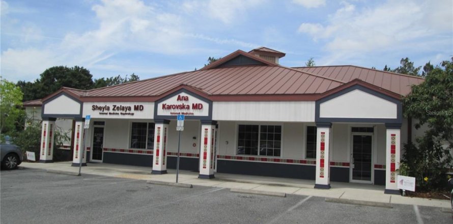 Immobilier commercial à Leesburg, Floride 418.06 m2 № 1670843